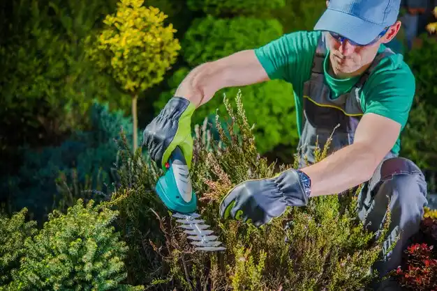 landscaping services Defiance